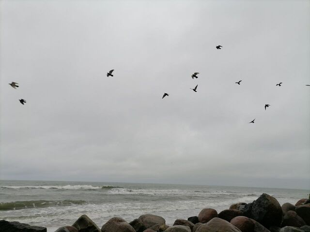 Облачно и с дождём: прогноз погоды на выходные в Калининграде Облачно и с дождём: прогноз погоды на выходные в Калининграде