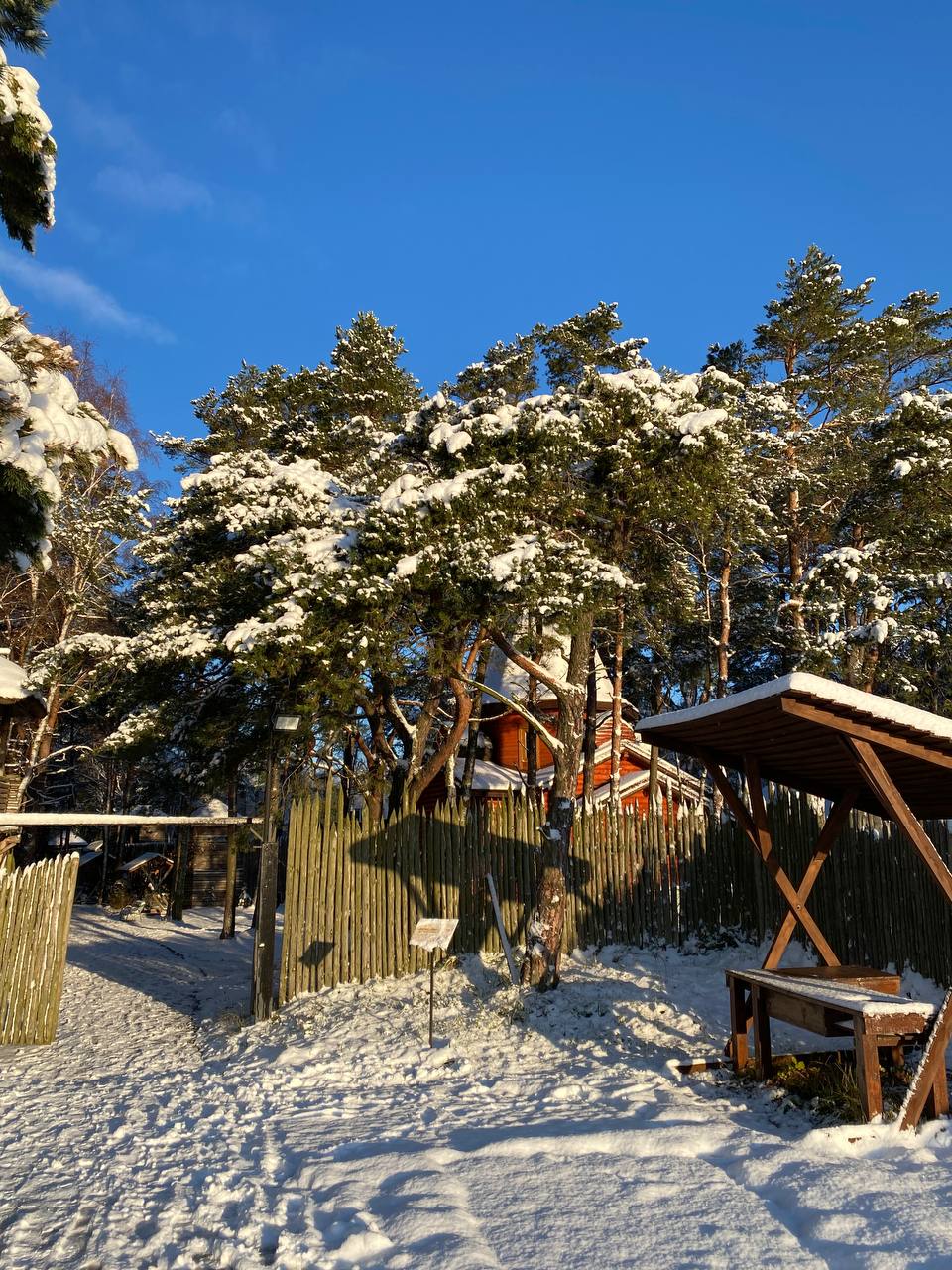 Алексей Беспрозванных запустил конкурс на самую длинную косу в честь открытия стенда Калининградской области на выставке в Москве Алексей Беспрозванных запустил конкурс на самую длинную косу в честь открытия стенда Калининградской области на выставке в Москве