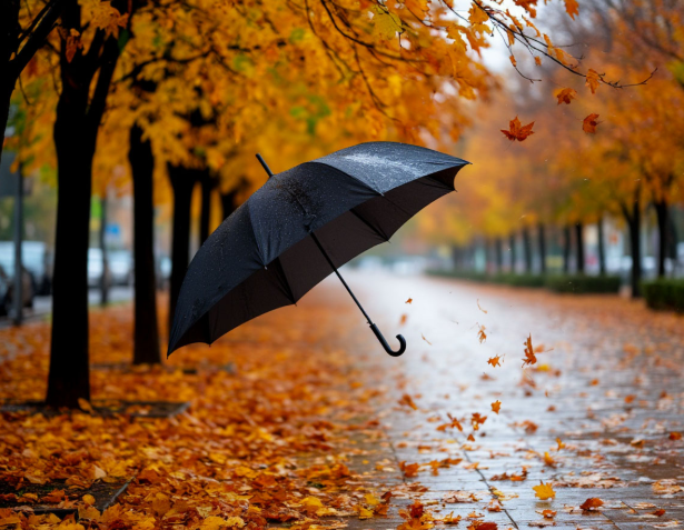 Шторм и дожди: прогноз погоды на последнюю неделю октября Шторм и дожди: прогноз погоды на последнюю неделю октября