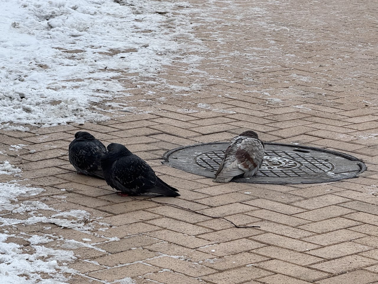 Калининградцев предупредили о новой волне аномальных морозов Калининградцев предупредили о новой волне аномальных морозов