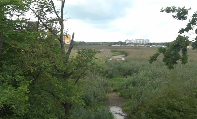 В реке Товарной в Калининграде нашли 16 незаконных стоков В реке Товарной в Калининграде нашли 16 незаконных стоков