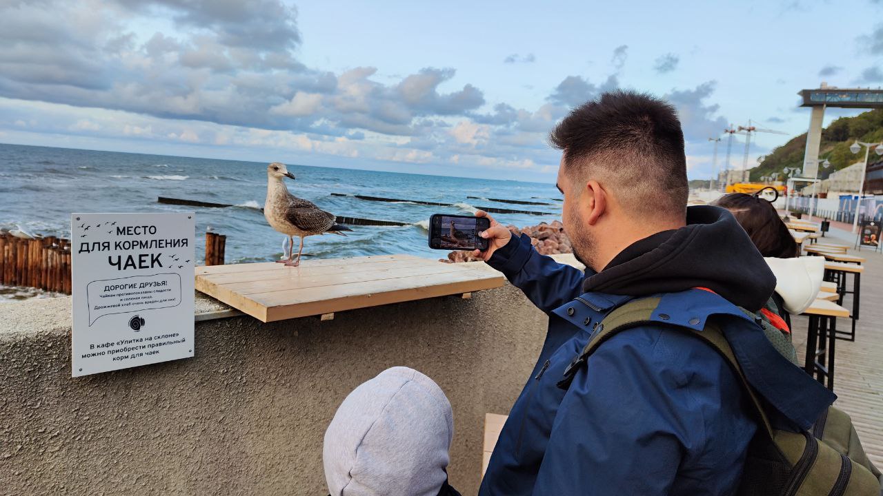 Ожидания не совпали с реальностью: в 2025 году Калининградская область приняла больше 2 с половиной миллионов туристов Ожидания не совпали с реальностью: в 2025 году Калининградская область приняла больше 2 с половиной миллионов туристов
