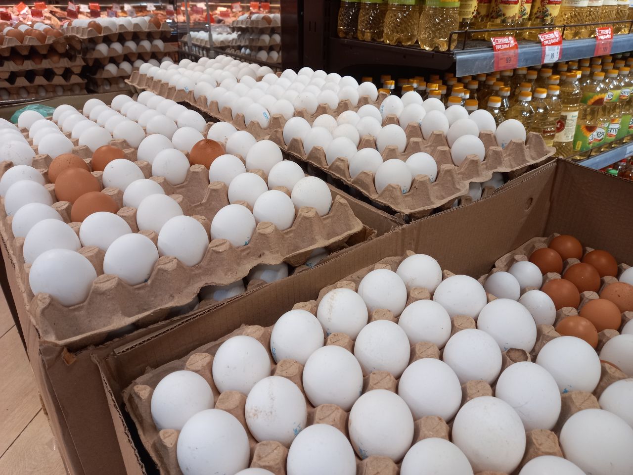 Алиханов сравнил цены на яйца в Польше и Калининградской области: «у нас чуть ли не в 2 раза дешевле»