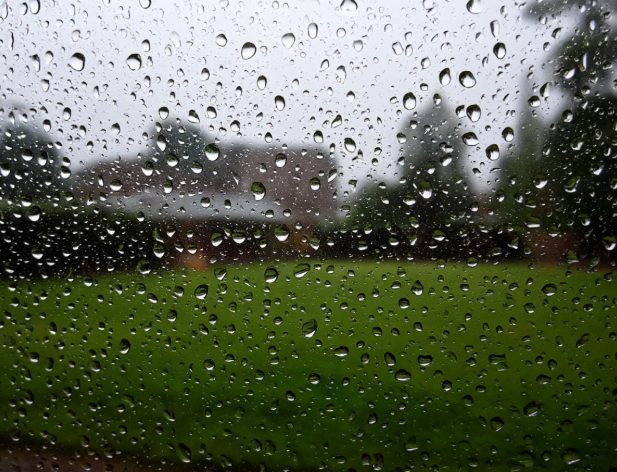 Тепло и дождливо: синоптики рассказали о погоде в Калининграде на выходных Тепло и дождливо: синоптики рассказали о погоде в Калининграде на выходных