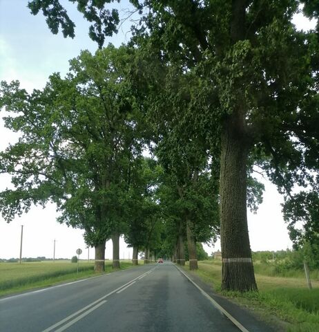 В Озерском округе отремонтируют две дороги по нацпроекту В Озерском округе отремонтируют две дороги по нацпроекту