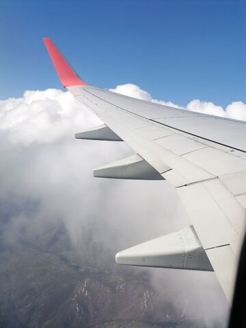 Когда появятся новые субсидии на авиабилеты для калининградцев Когда появятся новые субсидии на авиабилеты для калининградцев