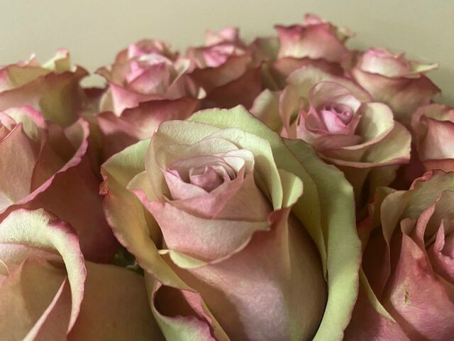 В Калининграде женщина ударила ножом знакомого из-за букета В Калининграде женщина ударила ножом знакомого из-за букета