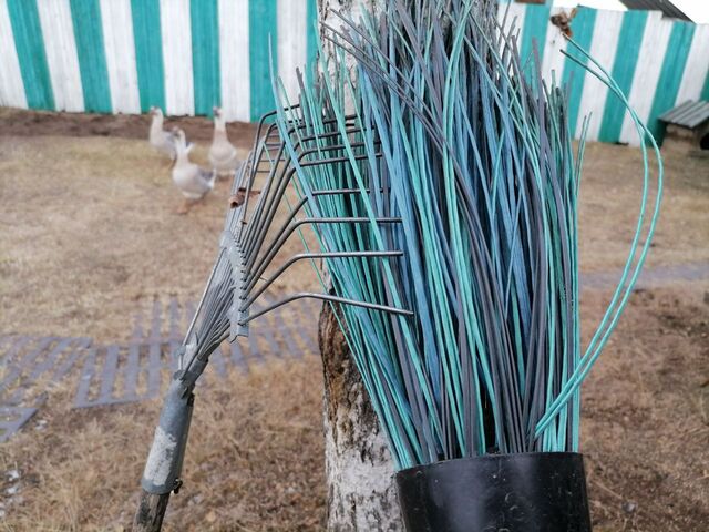 Более 7 тысяч жителей Калининградской области поучаствовали в субботнике 25 апреля Более 7 тысяч жителей Калининградской области поучаствовали в субботнике 25 апреля