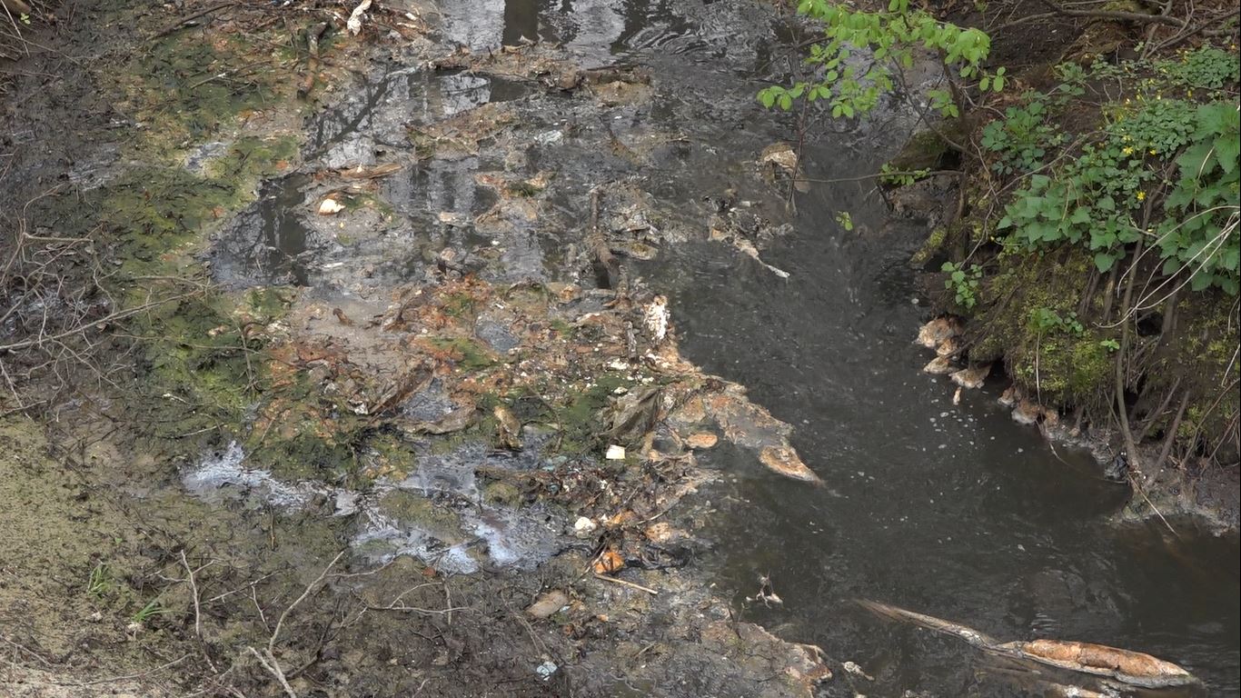 В Калининграде начали расчистку реки Товарной В Калининграде начали расчистку реки Товарной