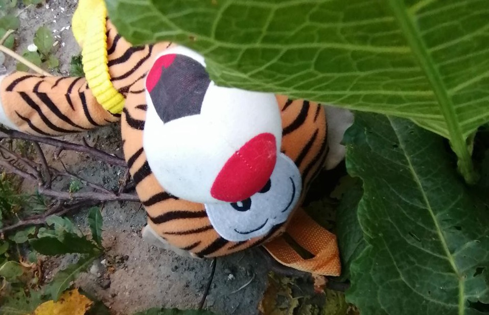 Суд назначил 3,5 года лишения свободы жителю Багратионовска за истязание дочери Суд назначил 3,5 года лишения свободы жителю Багратионовска за истязание дочери