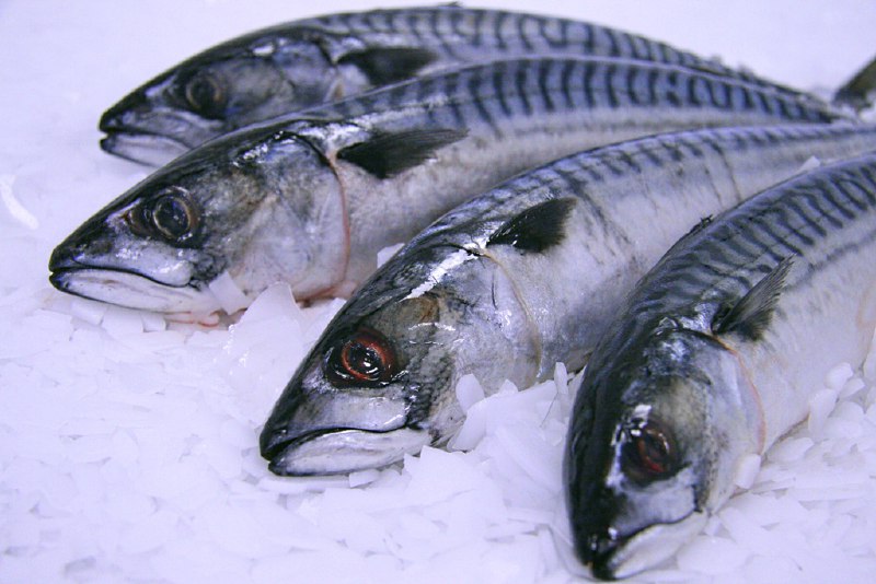 Сотрудники Россельхознадзора выявили незаконную уличную продажу рыбы в Балтийске Сотрудники Россельхознадзора выявили незаконную уличную продажу рыбы в Балтийске