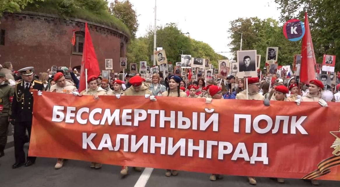 В региональном правительстве рассказали, в каком формате можно присоединиться к акции «Бессмертный полк» В региональном правительстве рассказали, в каком формате можно присоединиться к акции «Бессмертный полк»