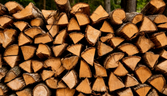 В Калининграде участники СВО смогут получать 50% скидку на покупку топлива В Калининграде участники СВО смогут получать 50% скидку на покупку топлива