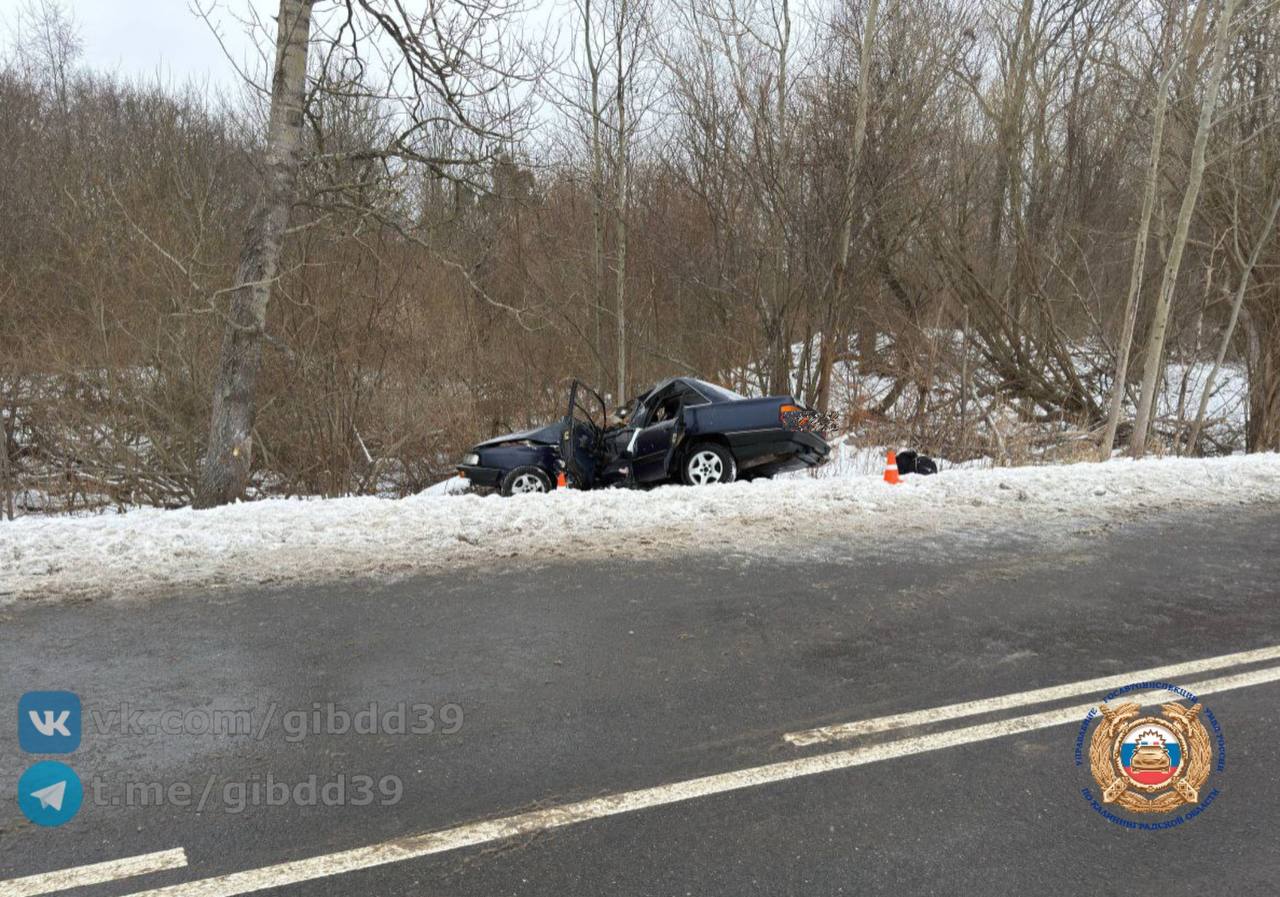 Под Зеленоградском «Ауди» врезалась в дерево Под Зеленоградском «Ауди» врезалась в дерево