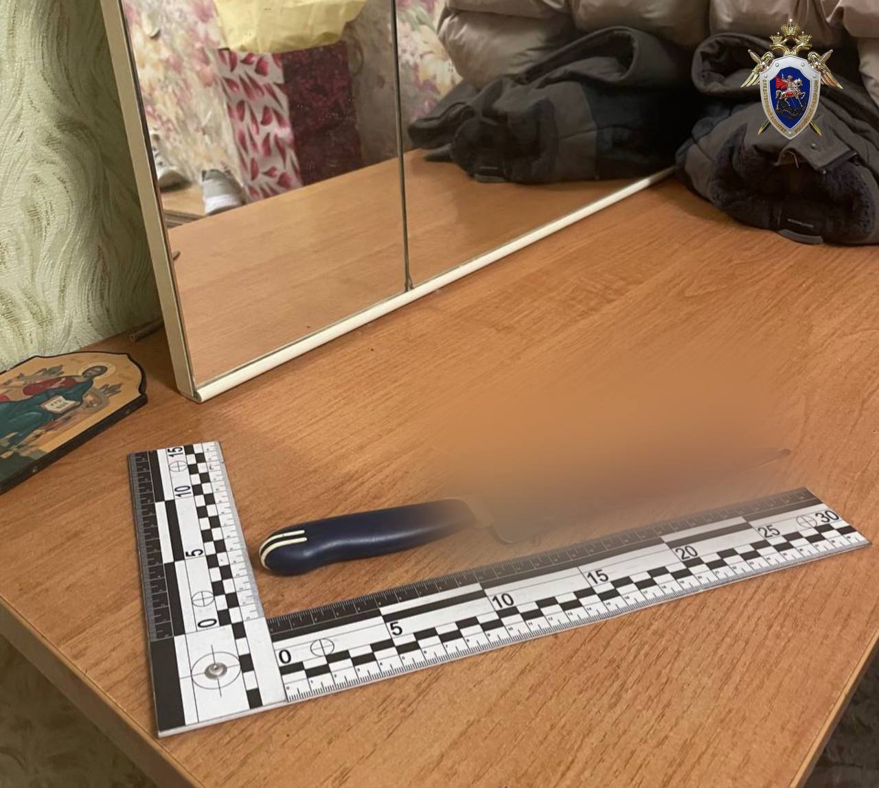 Жителю Калининграда предъявили обвинение в убийстве сожительницы Жителю Калининграда предъявили обвинение в убийстве сожительницы