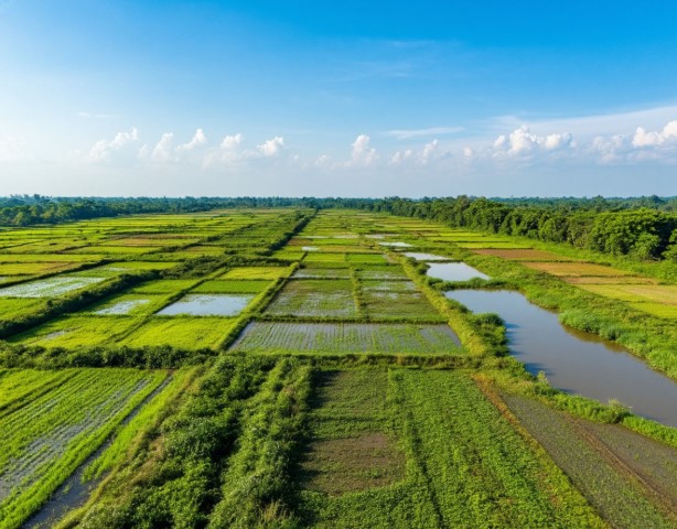 За год в Калининградской области мелиораторы осушили 35 тысяч гектаров земель За год в Калининградской области мелиораторы осушили 35 тысяч гектаров земель