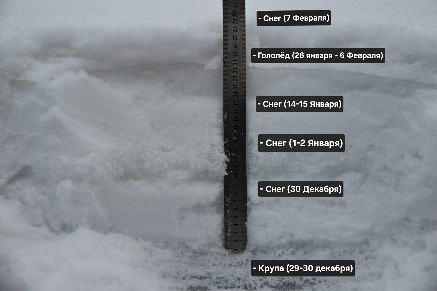 Снег в Калининграде впервые с 2011 года лежит уже больше 40 дней Снег в Калининграде впервые с 2011 года лежит уже больше 40 дней