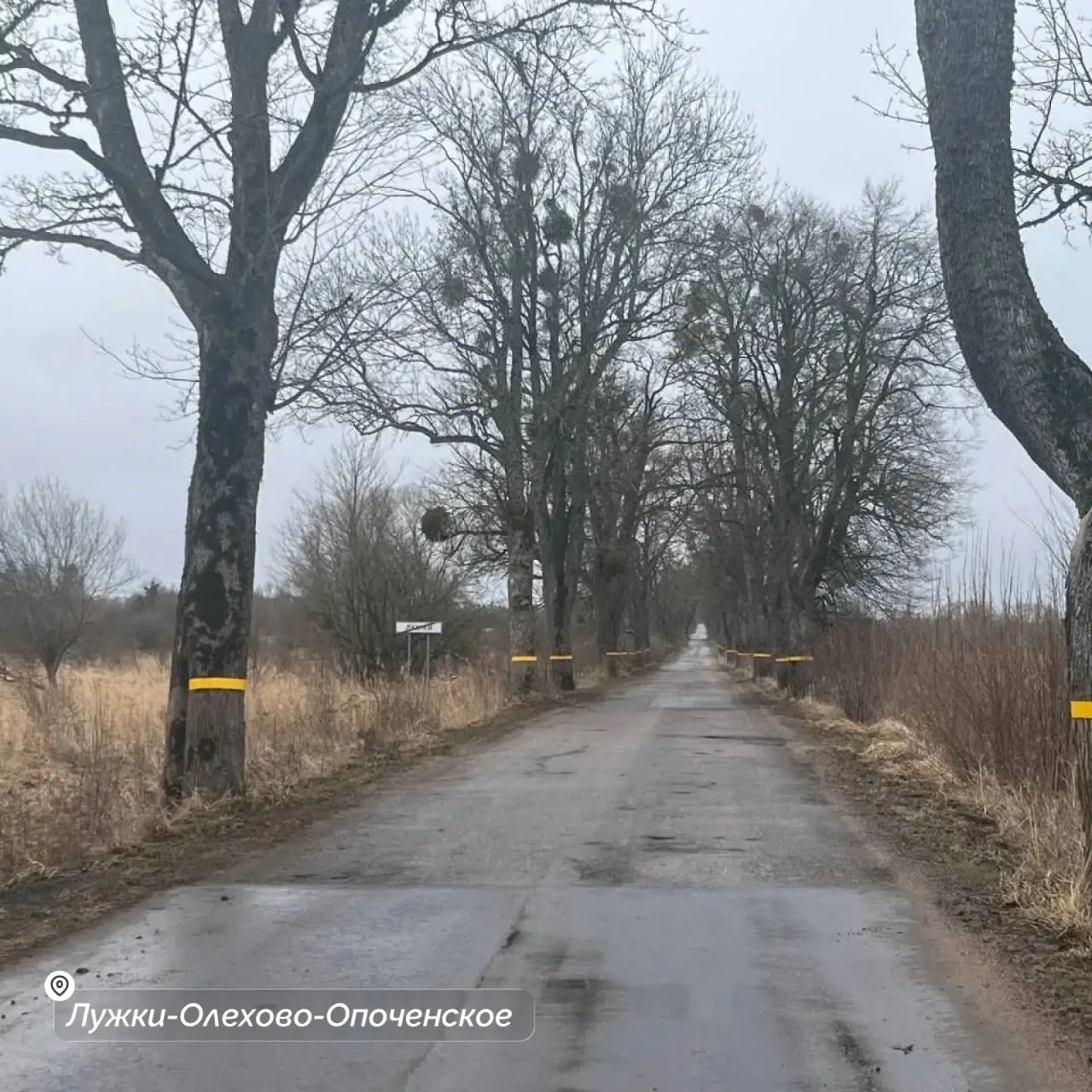 В Калининградской области отремонтируют дороги к школам и медучреждениям В Калининградской области отремонтируют дороги к школам и медучреждениям