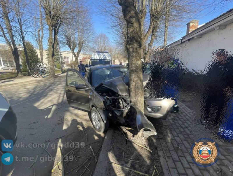 В Правдинске «Лада» врезалась в дерево, водитель скончался на месте В Правдинске «Лада» врезалась в дерево, водитель скончался на месте