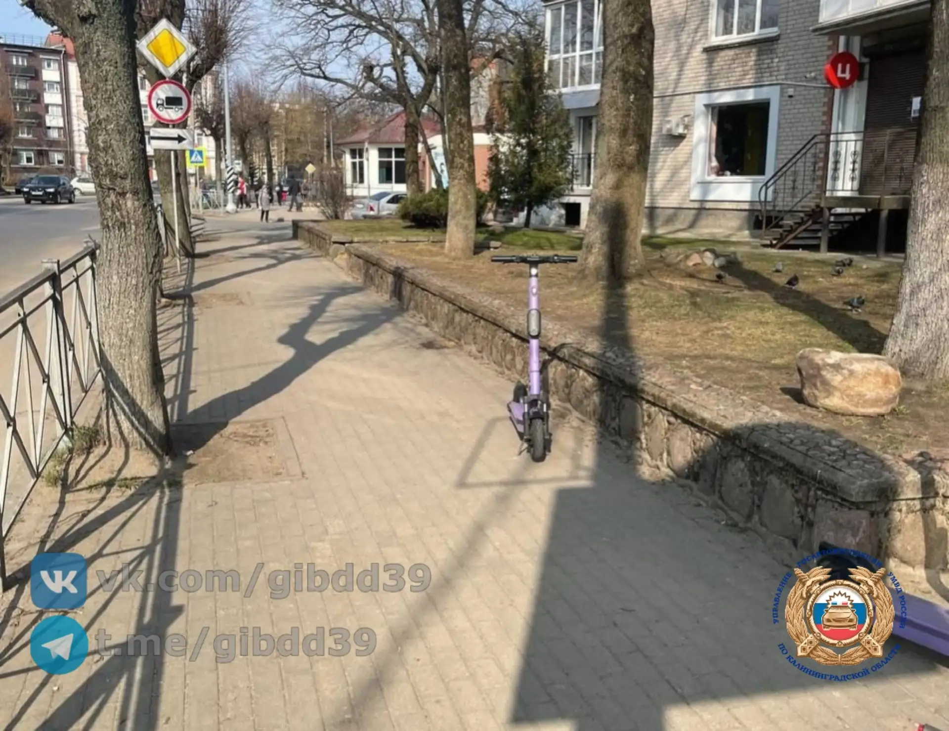 В Советске на улице Ленина электросамокатчик сбил пенсионерку В Советске на улице Ленина электросамокатчик сбил пенсионерку