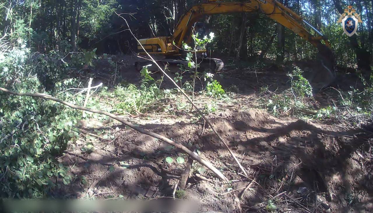 В Калининградской области двое мужчин предстанут перед судом за незаконную рубку леса В Калининградской области двое мужчин предстанут перед судом за незаконную рубку леса