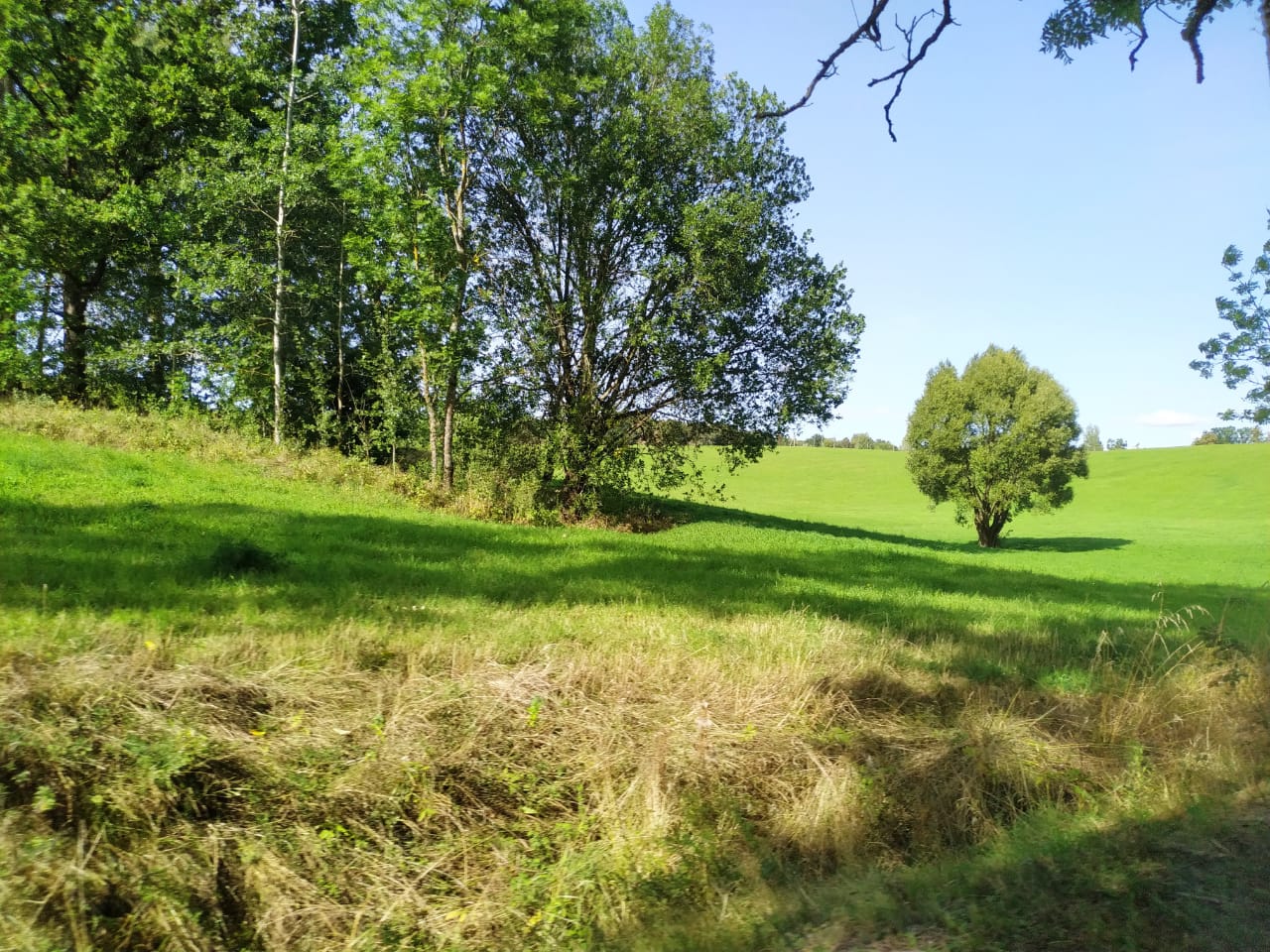 Вокруг нацпарка «Виштынецкий» создадут охранную зону Вокруг нацпарка «Виштынецкий» создадут охранную зону