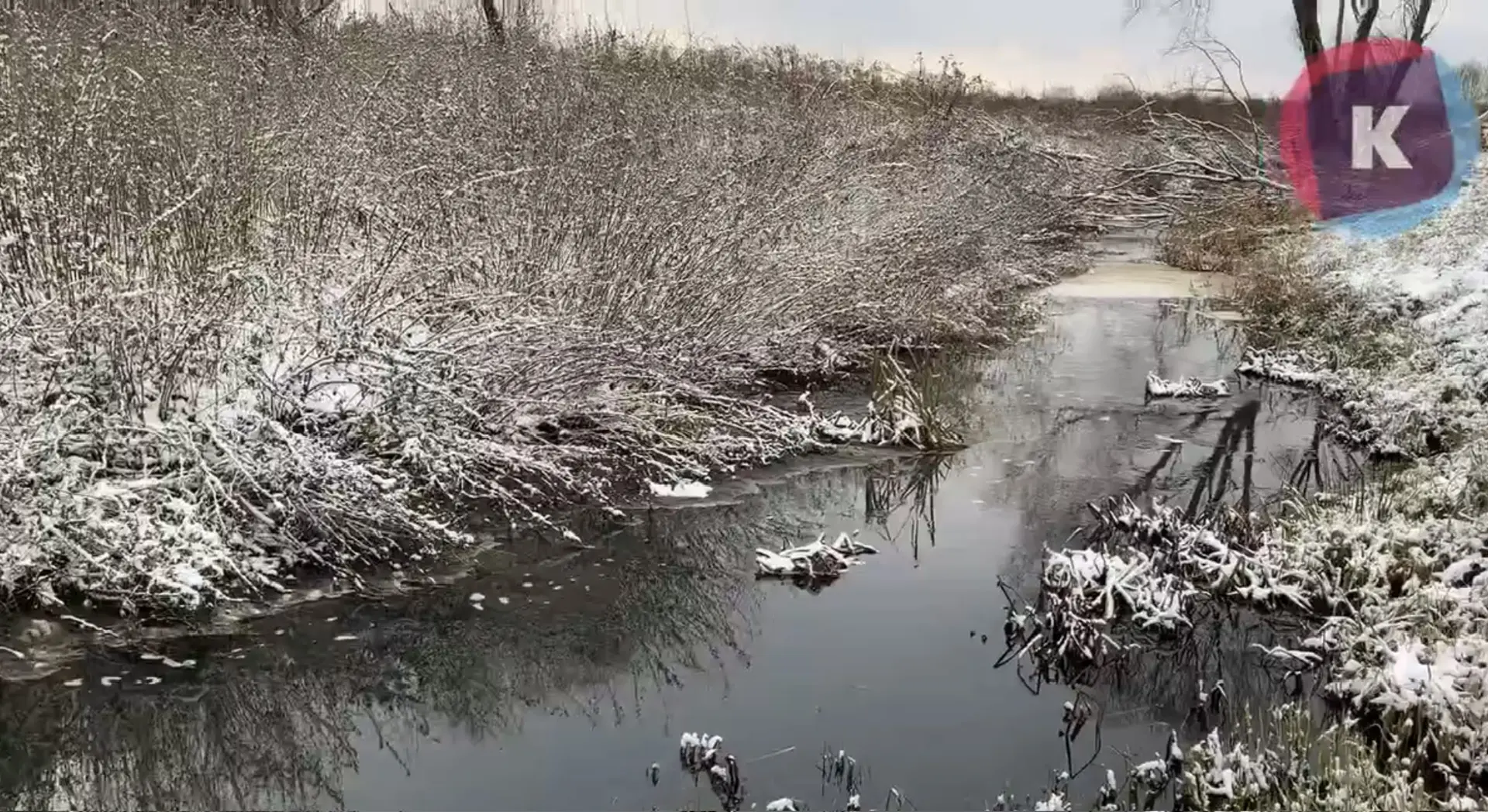 Росприроднадзор добился повышения штрафа «Балтптицепрому» до 250 миллионов рублей за загрязнение реки Росприроднадзор добился повышения штрафа «Балтптицепрому» до 250 миллионов рублей за загрязнение реки