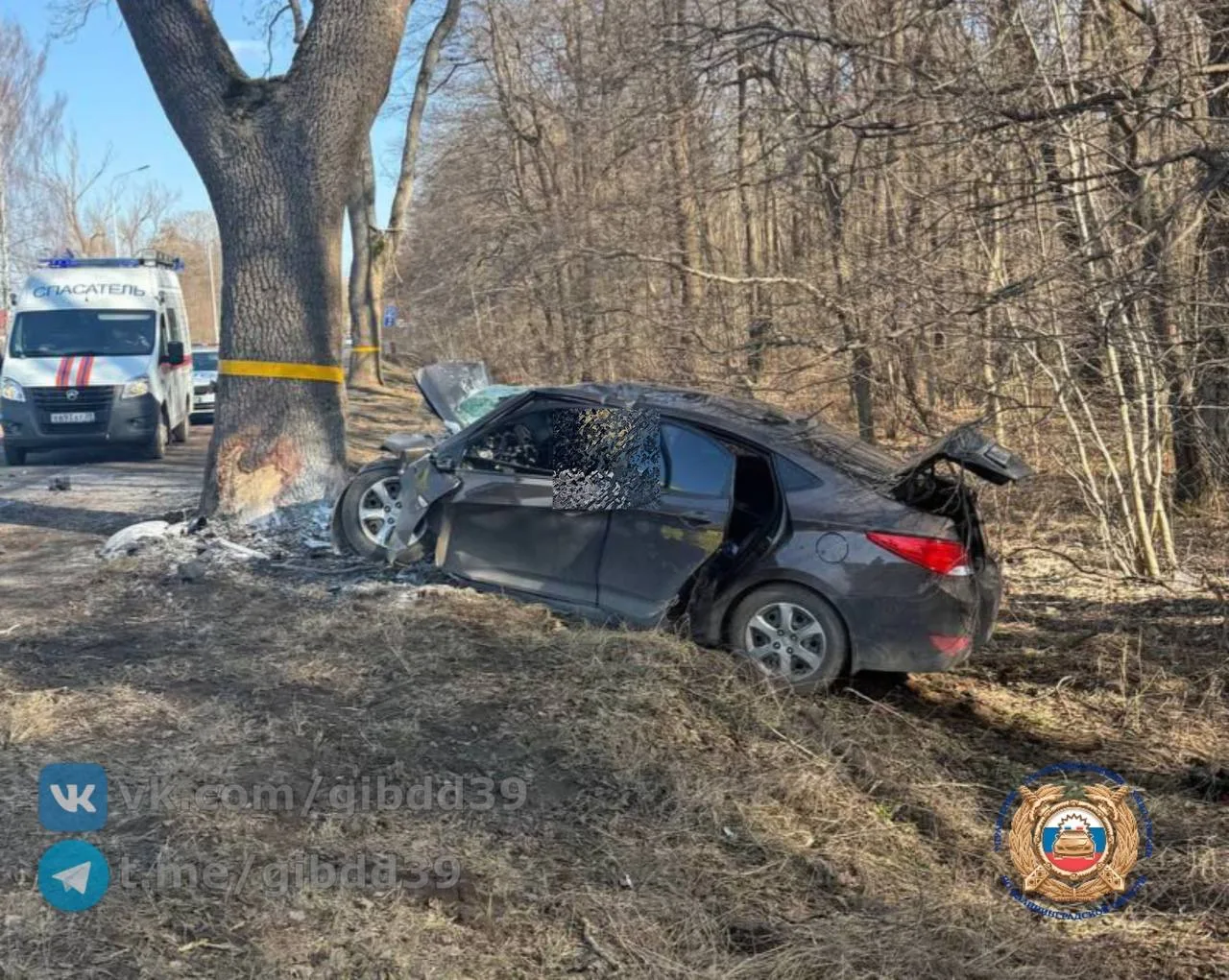 В посёлке Прибрежный водитель легковушки влетел в дерево и погиб на месте В посёлке Прибрежный водитель легковушки влетел в дерево и погиб на месте