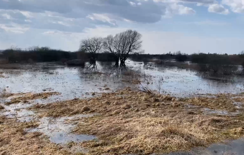 «Это не общество, а болото»: в гурьевском СНТ затопило 572 участка «Это не общество, а болото»: в гурьевском СНТ затопило 572 участка