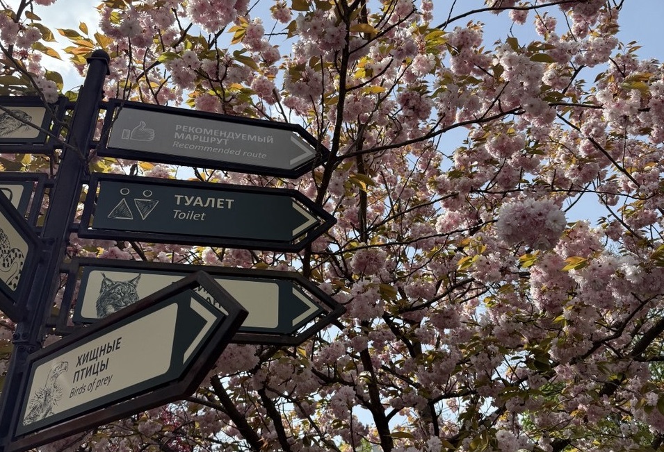 Калининградский зоопарк увеличил время своей работы ещё на час Калининградский зоопарк увеличил время своей работы ещё на час