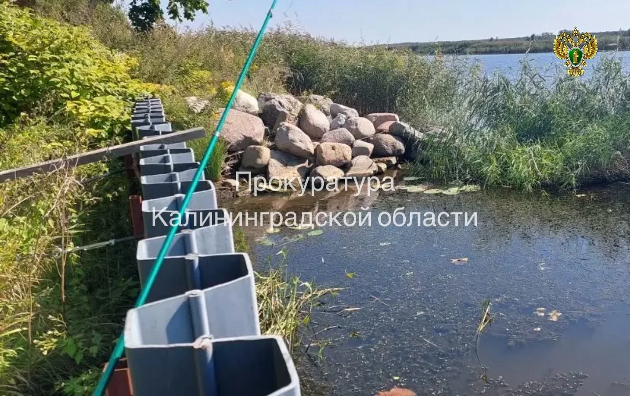 В Калининградской области суд обязал открыть доступ к реке Преголя В Калининградской области суд обязал открыть доступ к реке Преголя