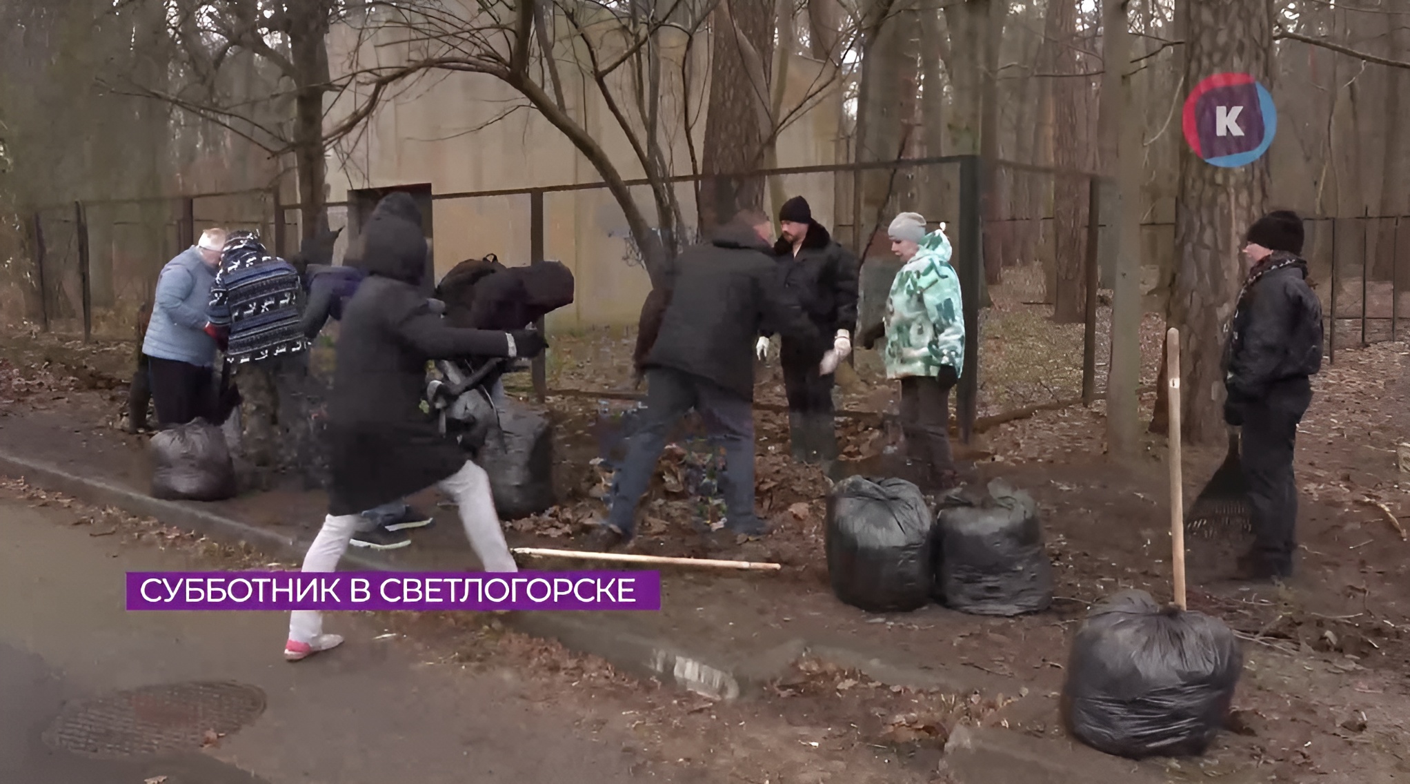 Дождь не помеха для работы: как прошел субботник в Светлогорске Дождь не помеха для работы: как прошел субботник в Светлогорске