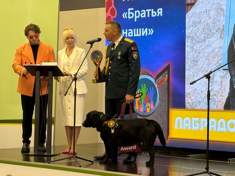 В Зеленоградске перенесли церемонию открытия сезона, но успели назвать победителей «Лохматого Оскара» В Зеленоградске перенесли церемонию открытия сезона, но успели назвать победителей «Лохматого Оскара»