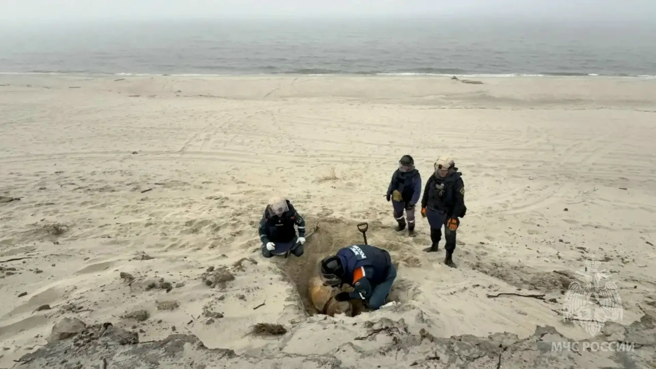 Спасатели уничтожили на Балткосе 250-килограммовую немецкую бомбу Спасатели уничтожили на Балткосе 250-килограммовую немецкую бомбу