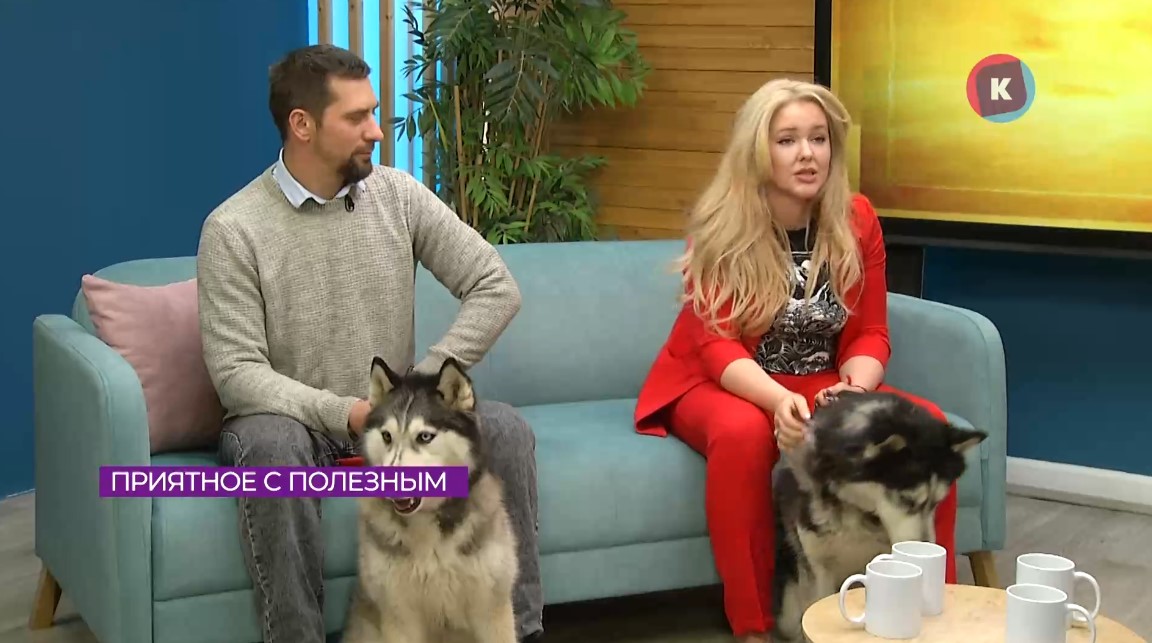 Дети из Правдинского приюта учатся социализироваться благодаря собакам Дети из Правдинского приюта учатся социализироваться благодаря собакам