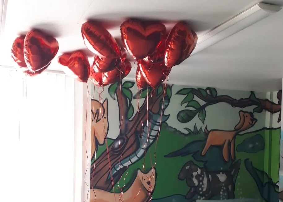 Родители спасённого в калининградском кардиоцентре малыша каждый год дарят воздушные шары пациентам Родители спасённого в калининградском кардиоцентре малыша каждый год дарят воздушные шары пациентам