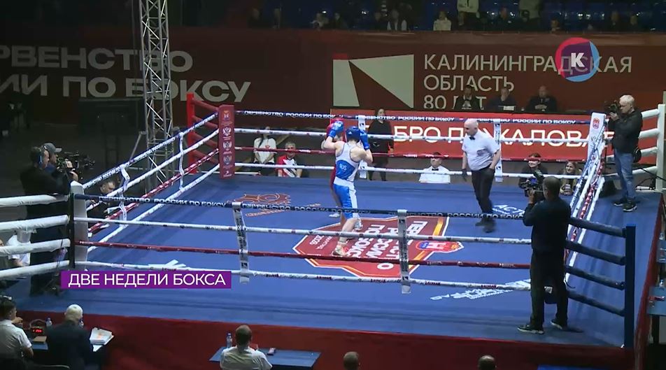 Три представителя Калининграда выиграли домашнее первенство России 2026 по боксу Три представителя Калининграда выиграли домашнее первенство России 2026 по боксу