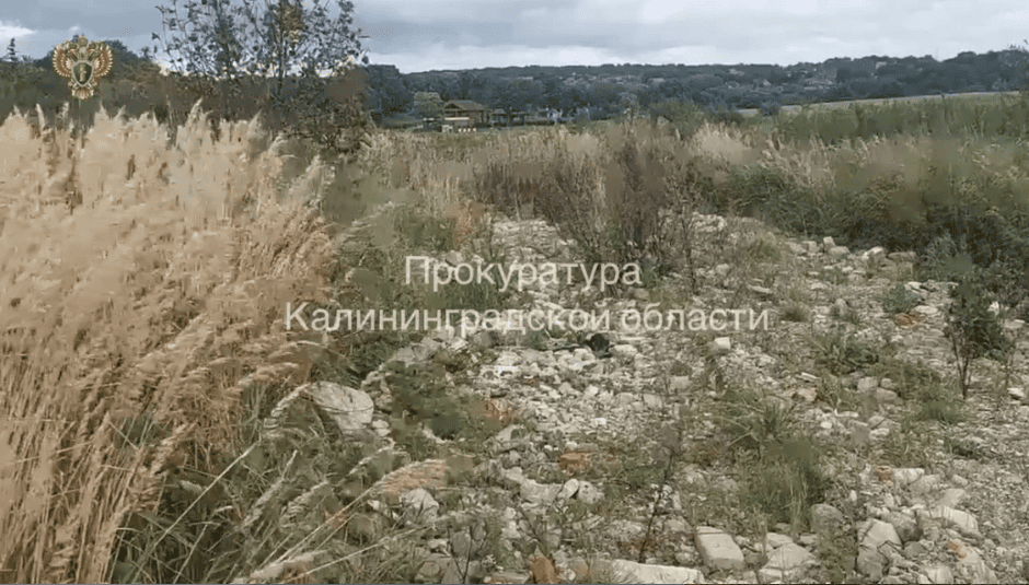 В заказнике «Романовское» нашли свалку строительного мусора и производственных отходов В заказнике «Романовское» нашли свалку строительного мусора и производственных отходов