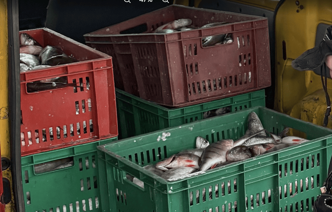 Калининградская транспортная полиция задержала похитителей рыбы Калининградская транспортная полиция задержала похитителей рыбы