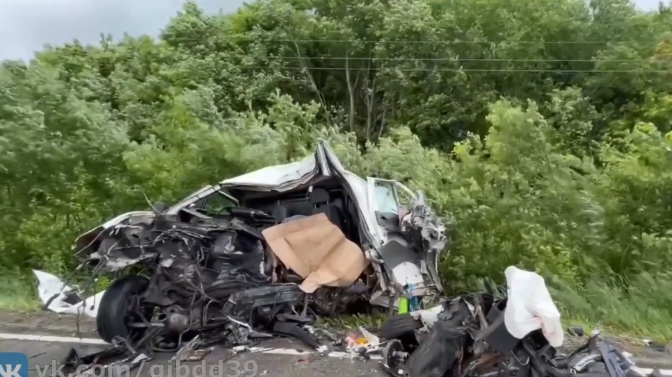 В Зеленоградском округе водитель погиб после наезда на придорожное дерево В Зеленоградском округе водитель погиб после наезда на придорожное дерево