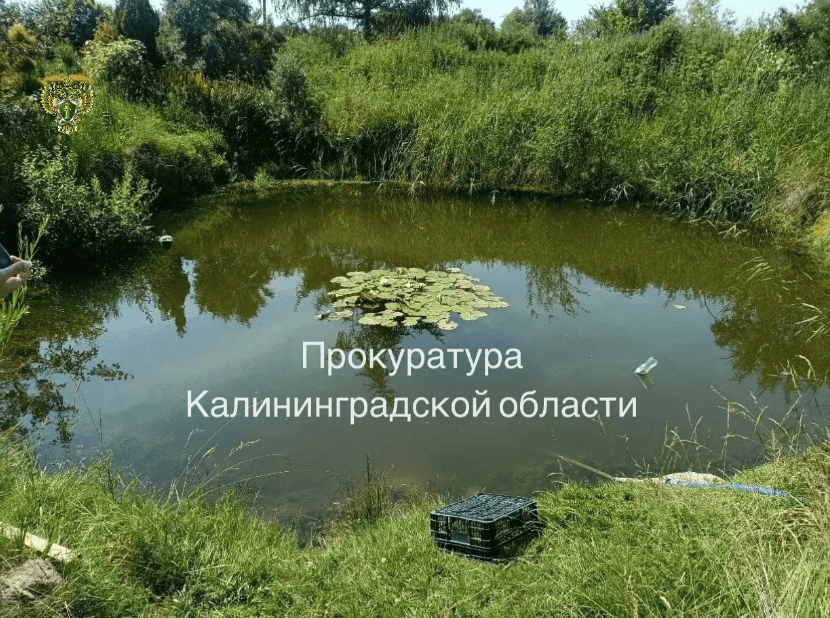 Появились подробности гибели ребенка в искусственном пруду в Полесске Появились подробности гибели ребенка в искусственном пруду в Полесске