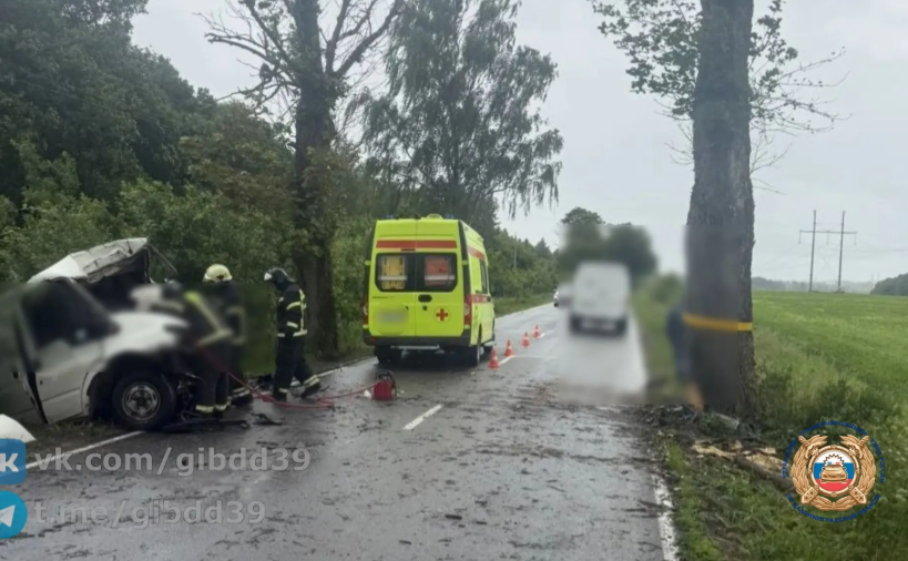 На Люблинском шоссе в Калининграде автомобиль вылетел в кювет, водитель погиб на месте На Люблинском шоссе в Калининграде автомобиль вылетел в кювет, водитель погиб на месте