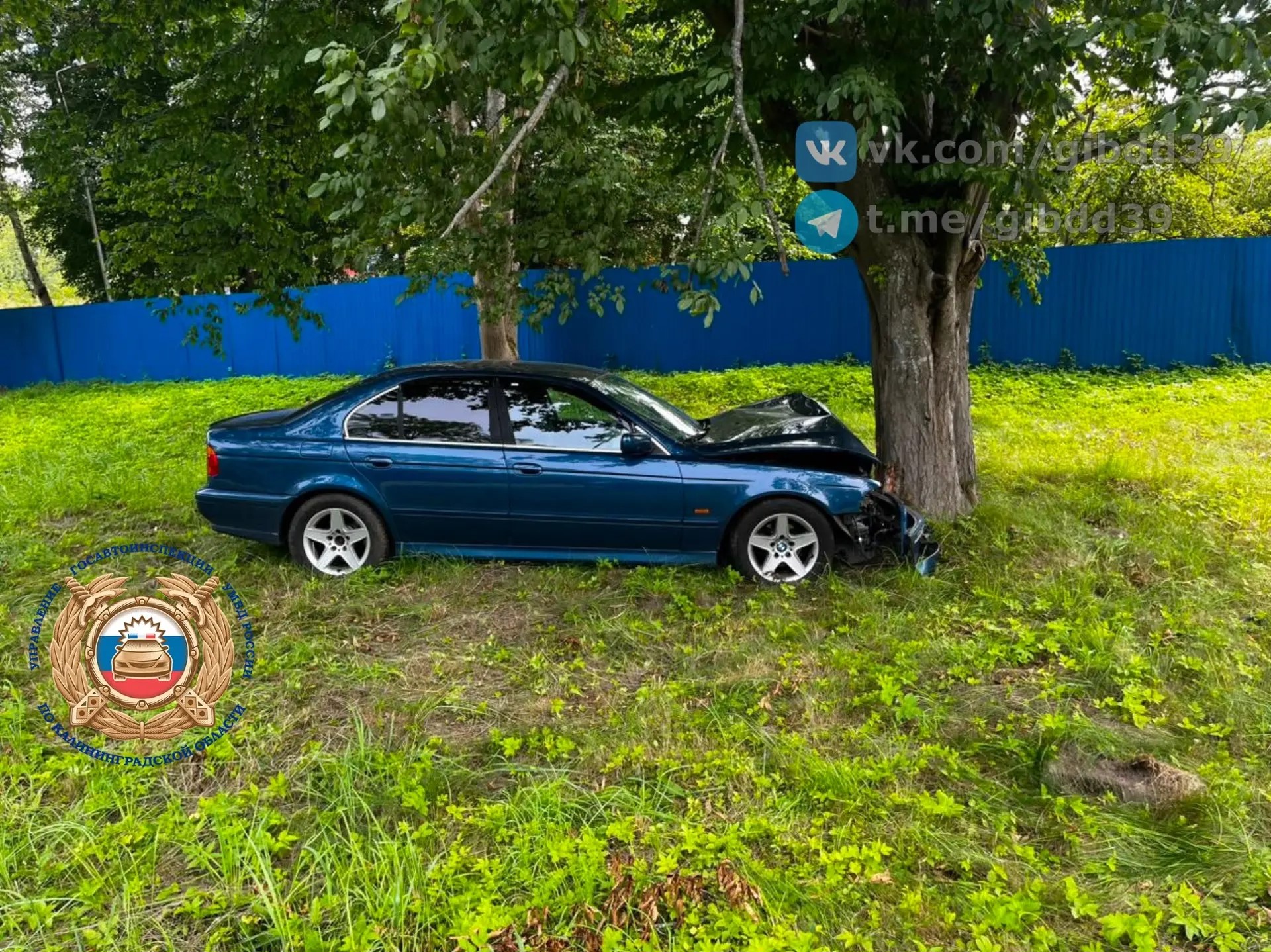 Автомобиль врезался в дерево под Балтийском Автомобиль врезался в дерево под Балтийском
