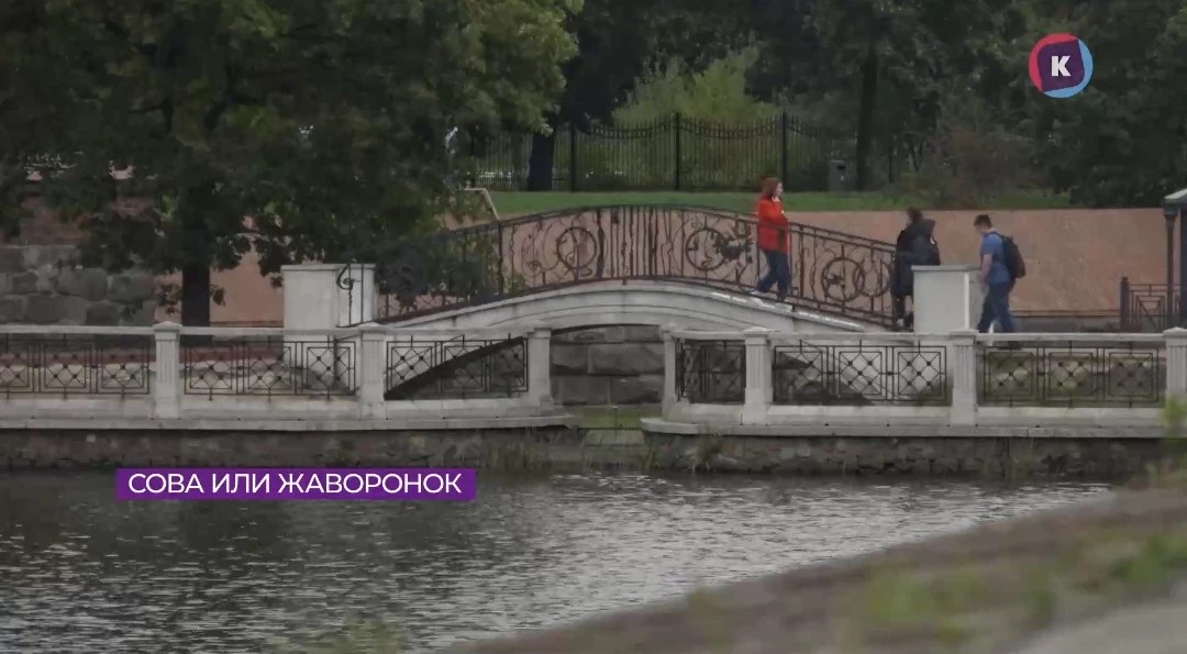 Калининградцы поделились своим распорядком дня Калининградцы поделились своим распорядком дня