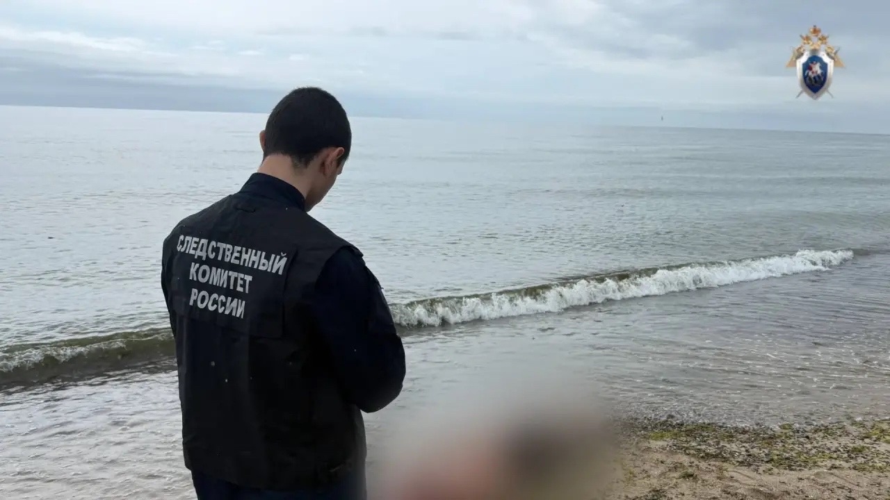 Спасал ребенка, но сам погиб: СК опубликовал подробности о трагедии в Зеленоградском районе Спасал ребенка, но сам погиб: СК опубликовал подробности о трагедии в Зеленоградском районе