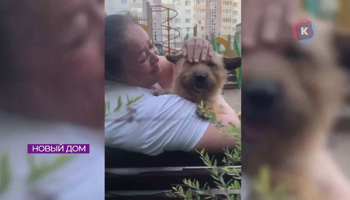 У пионерского Хатико появился хозяин У пионерского Хатико появился хозяин