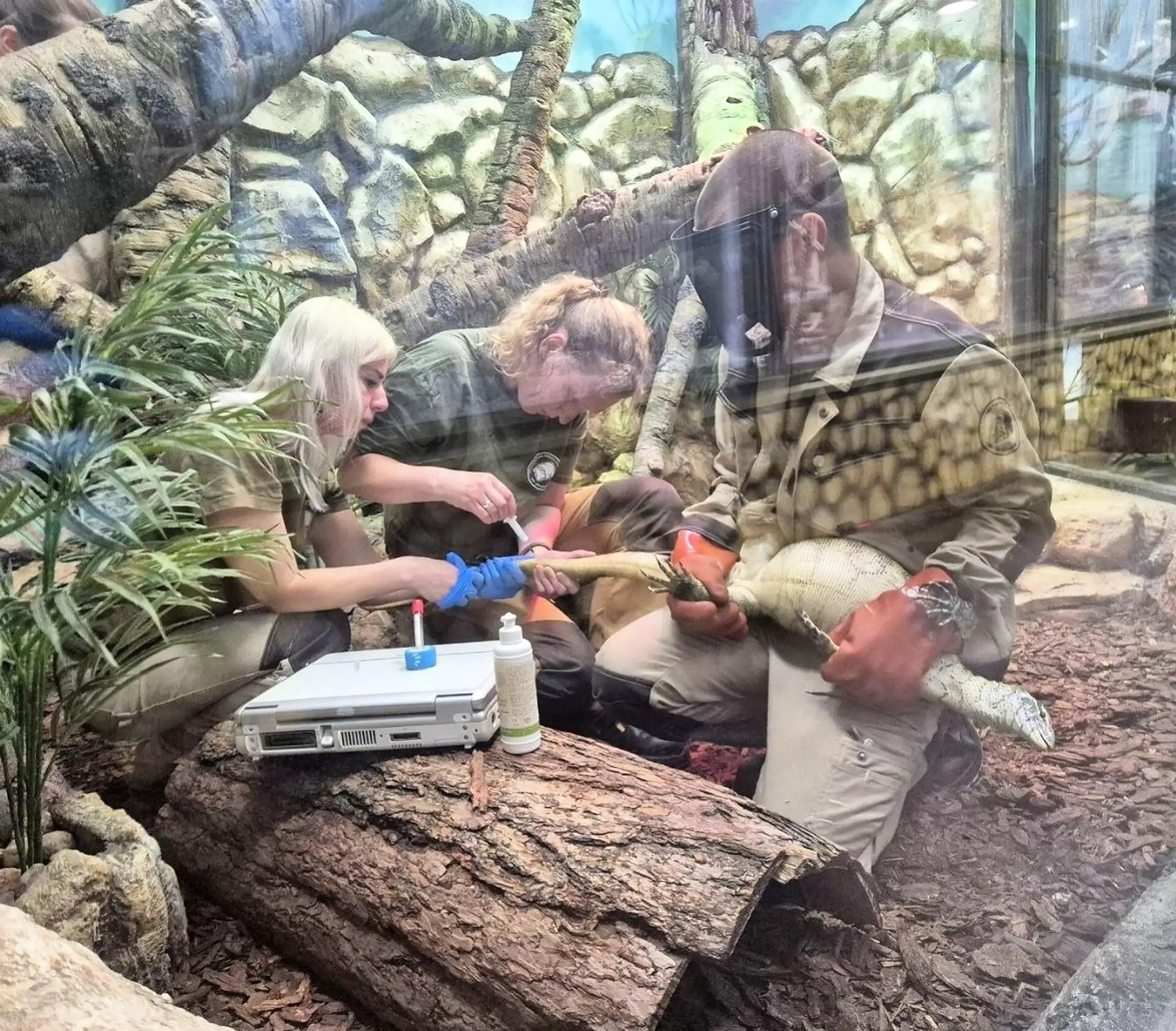 Ветеринарная служба Калининградского зоопарка отмечает свой праздник Ветеринарная служба Калининградского зоопарка отмечает свой праздник