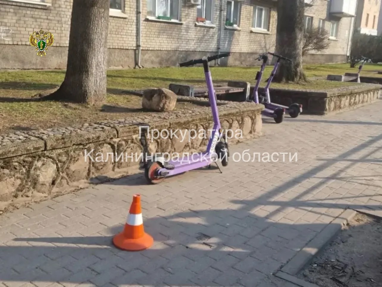 В Советске пенсионерка пострадала от электросамоката: прокуратура подала иск В Советске пенсионерка пострадала от электросамоката: прокуратура подала иск