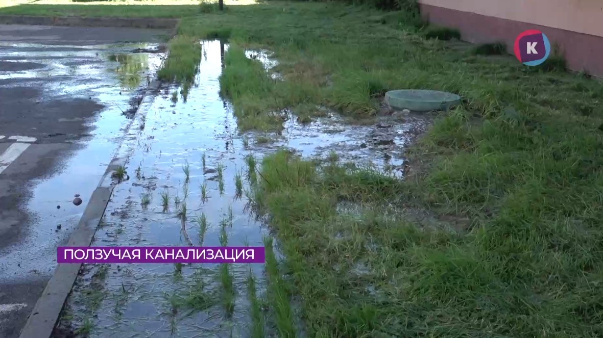 Малое Васильково тонет в фекалиях из-за «бесхозной» канализации Малое Васильково тонет в фекалиях из-за «бесхозной» канализации