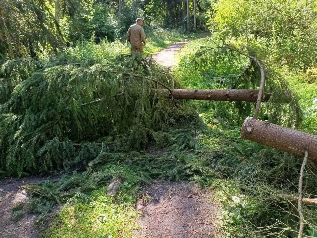 Сотрудники Куршской косы призвали временно не пользоваться велодорожкой Сотрудники Куршской косы призвали временно не пользоваться велодорожкой